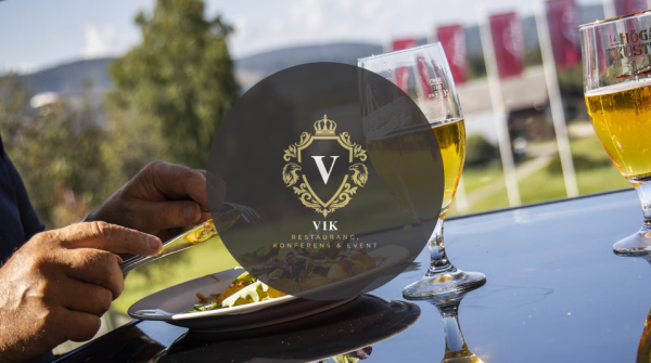 Vik Group
